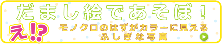 だまし絵であそぼ！モノクロのはずがカラーに見えるふしぎな写真