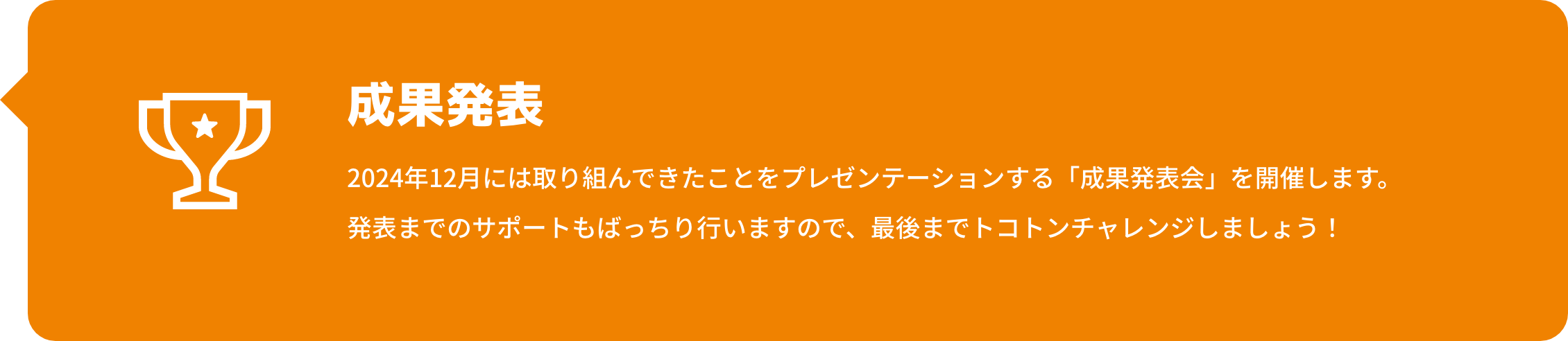 成果発表 中高生のための学会「サイエンスキャッスル」内にて、成果発表会を開催します。
                                    発表までのサポートもばっちり行いますので、最後までトコトンチャレンジしましょう！