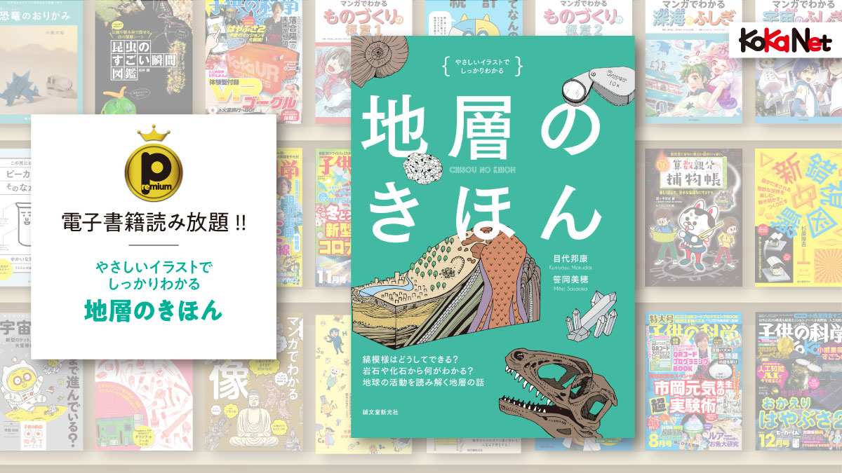 地層のきほん コカネット