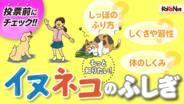 イヌネコヒトの鼻くらべ もっと知りたい イヌネコのふしぎ コカネット