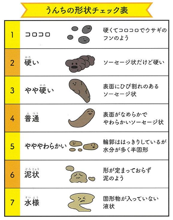 11月のミッション】自分のうんちを観察しよう《科学ミッションカレンダー2023》│コカネット