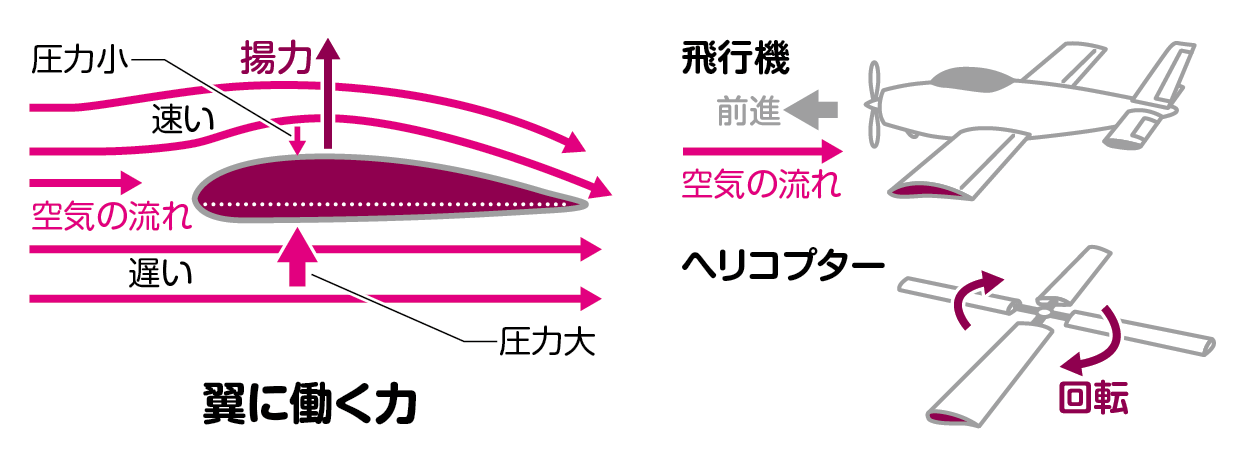 ヘリコプターは羽4枚でなぜ飛べるのか？│コカネット